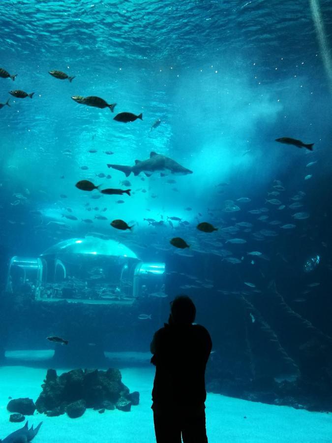 Las Canteras Aquarium Las Palmas de Gran Canaria Exteriér fotografie