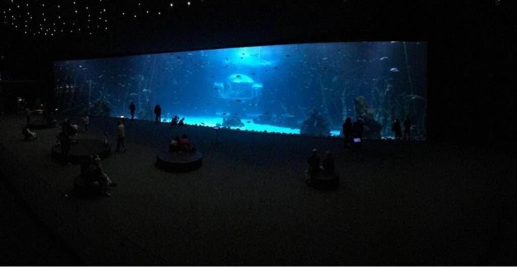 Las Canteras Aquarium Las Palmas de Gran Canaria Exteriér fotografie